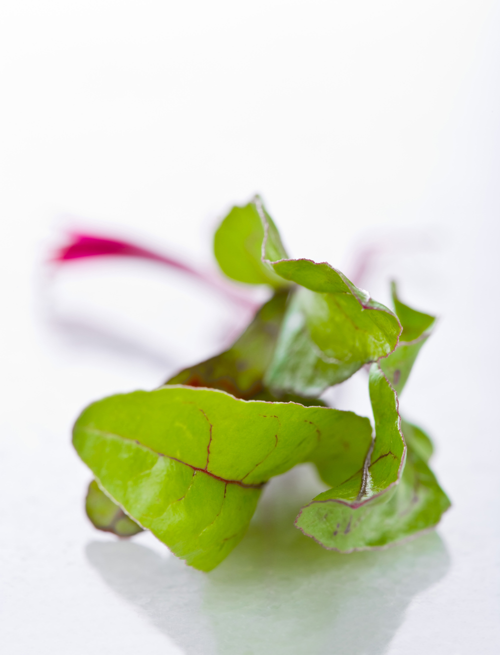 Beet leaves
