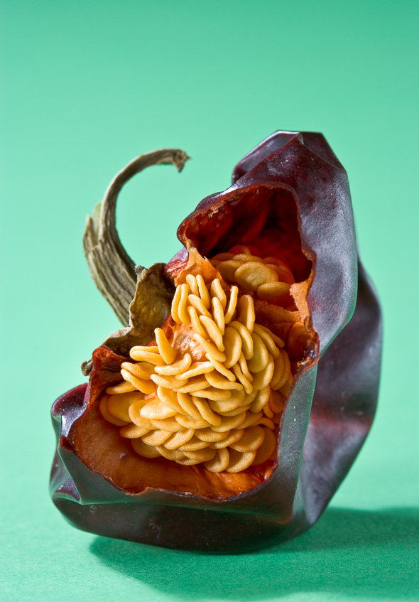 Vista de una ñora abierta