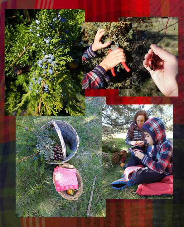 Corona de adviento 2 recogida