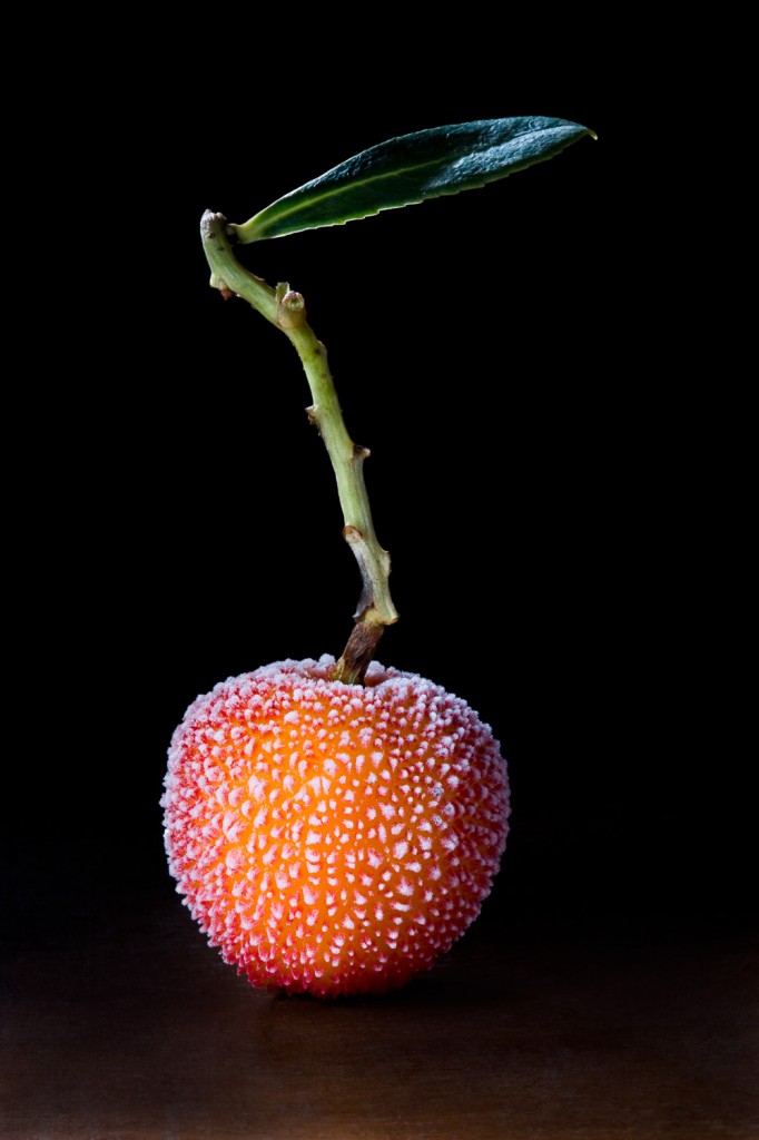 Frozen arbutus