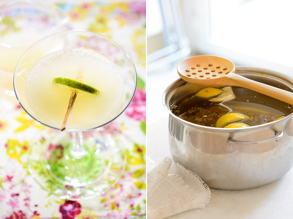 Blog Champán de saúco